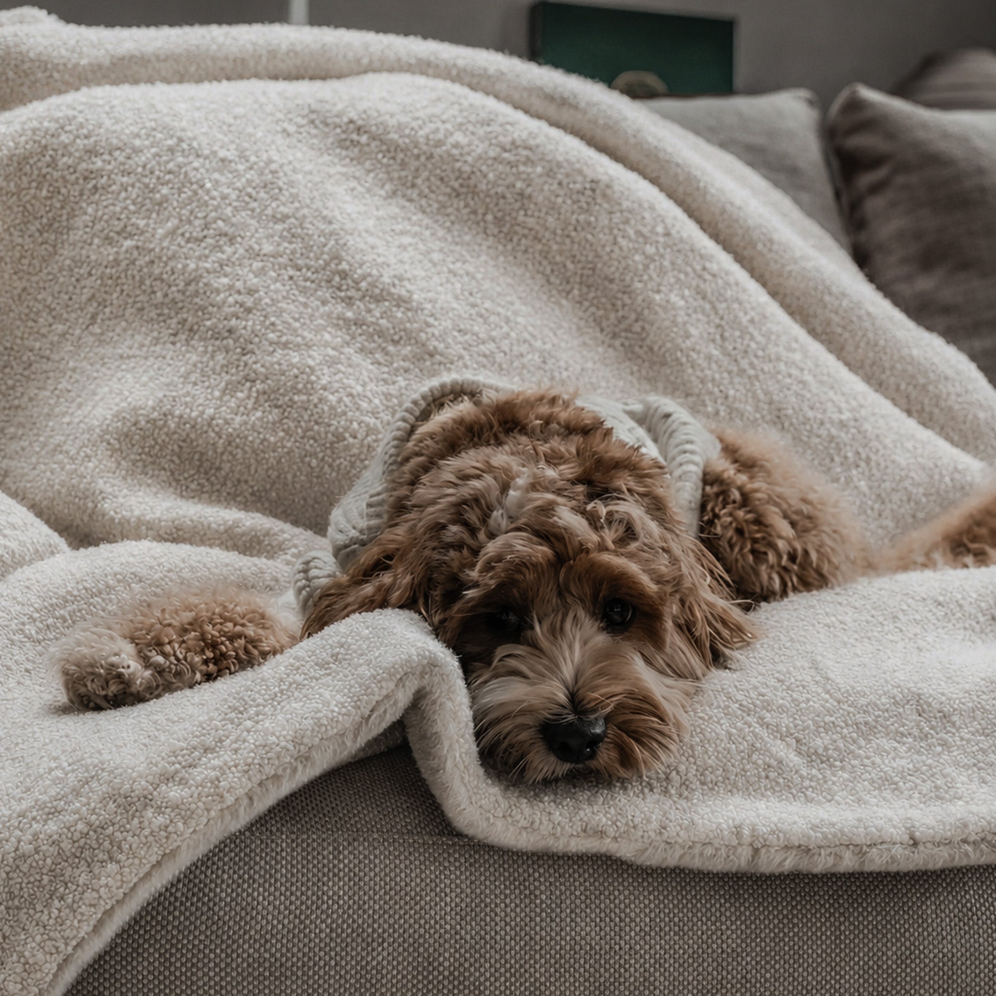 BOU-BLANK-MAR - The Bouclé Blanket Marshmallow