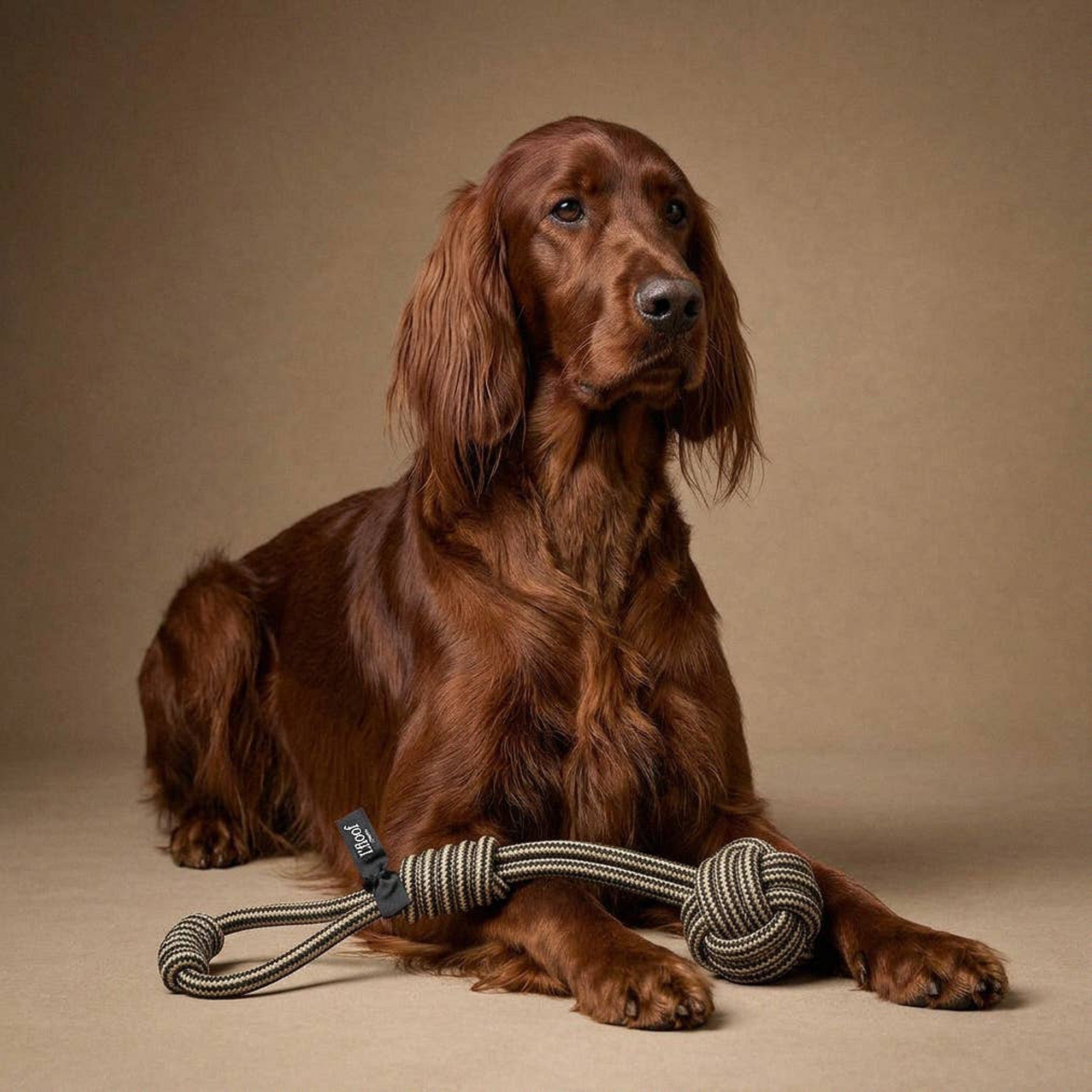 LPLOOP - The Loop Dog Rope Tug Toy