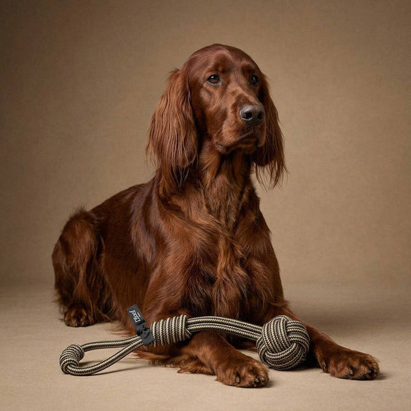 Dog Toy-LPLOOP - The Loop Dog Rope Tug Toy-L'floof