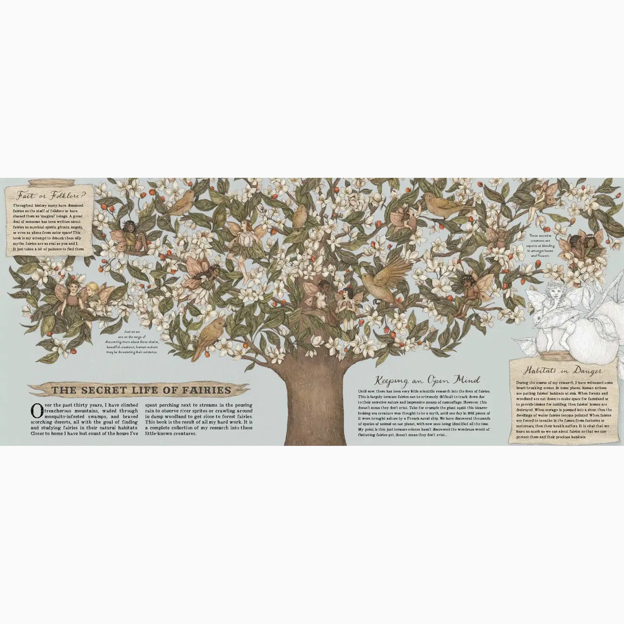 Book-9780711247666 - A Natural History of Fairies-The Quarto Group