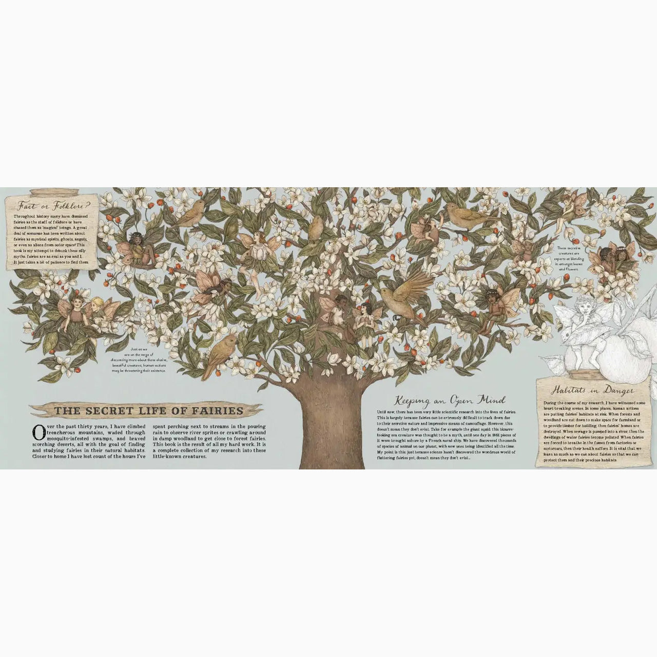 Book-9780711247666 - A Natural History of Fairies-The Quarto Group