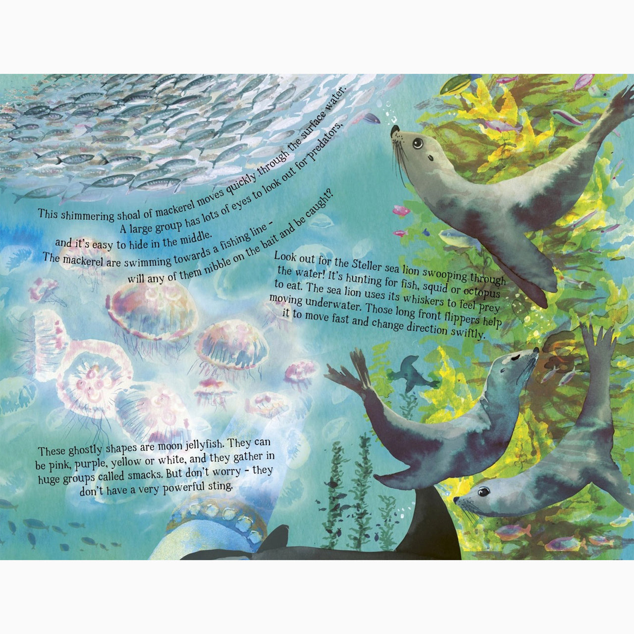 Book-9780711271944 - The Sea Below My Toes-The Quarto Group