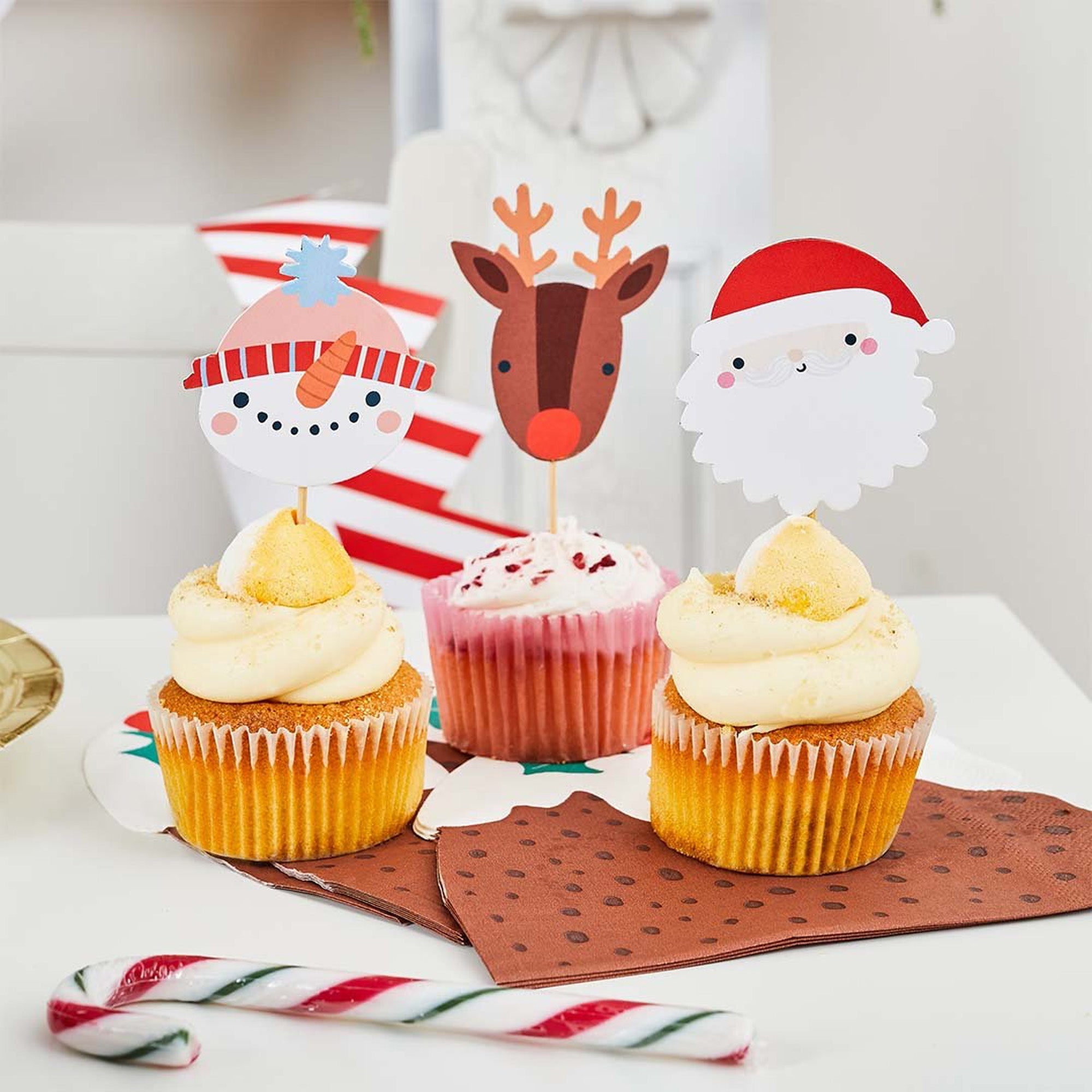 HBMC110 - Festive Friends Food Picks Pack of 12