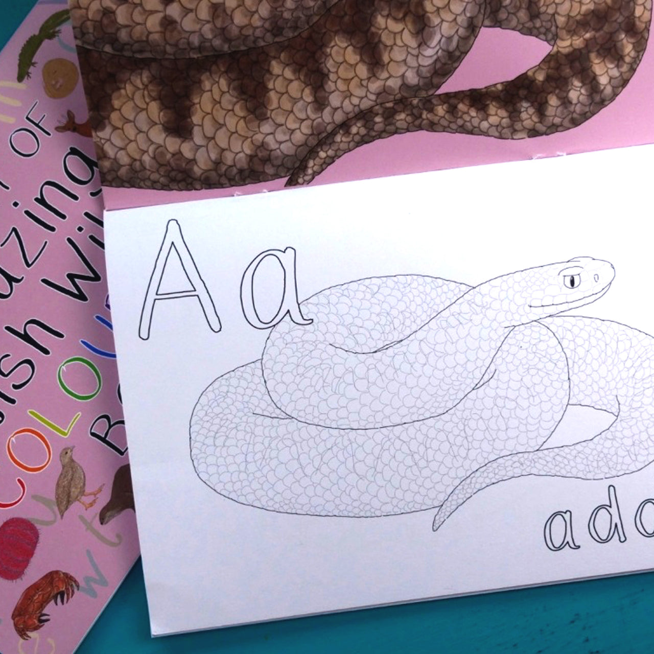 Colouring Book-AABWCB - British Wildlife Alphabet Colouring Book-Button & Squirt