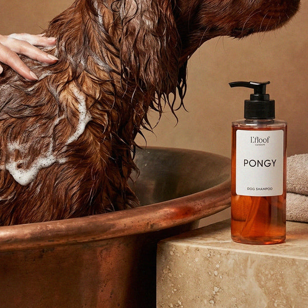 PONGY - PONGY Natural Dog Shampoo