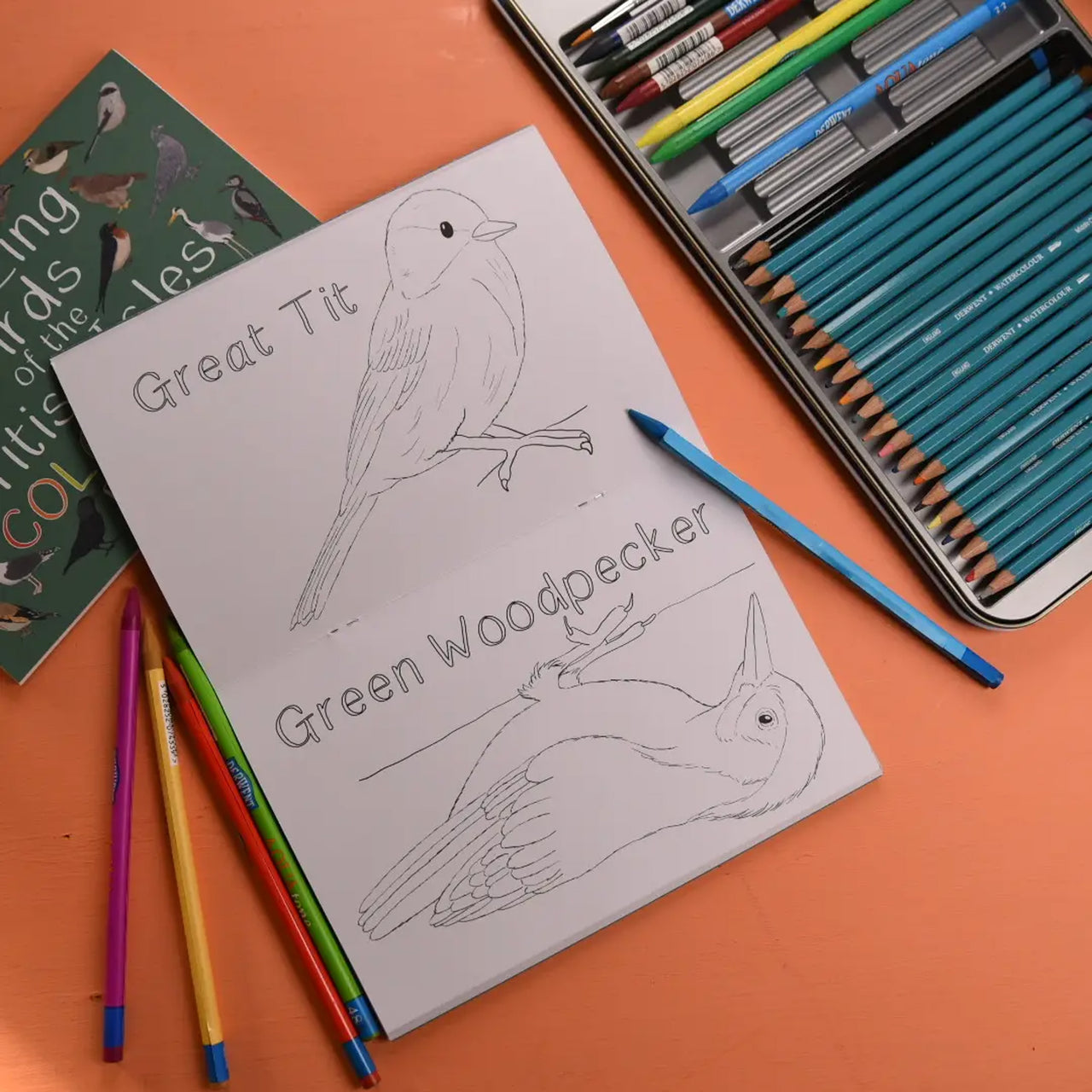 Colouring Book-Abobicb - British Isles Birds Colouring Book-Button & Squirt