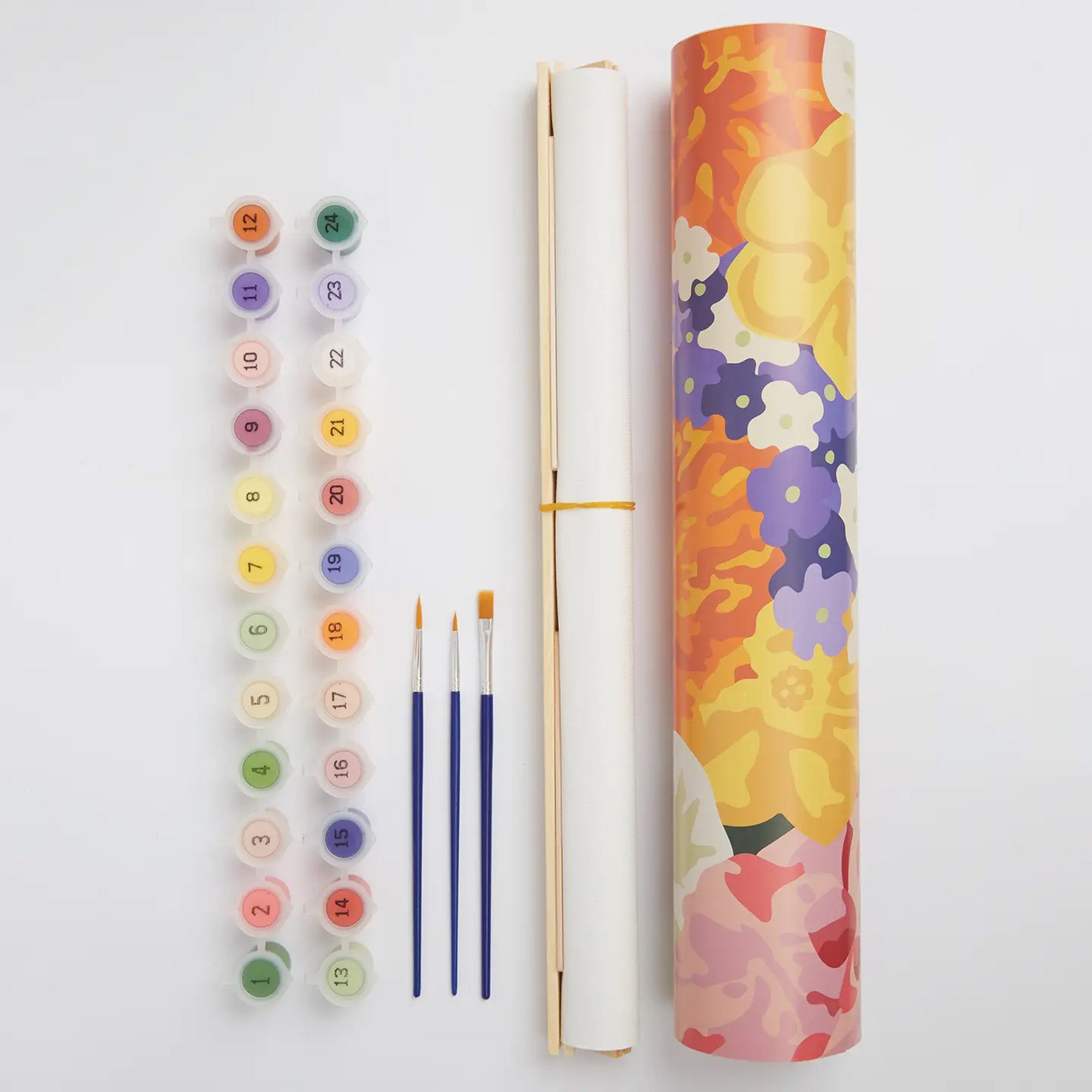 RHS550101 - RHS Paint By Numbers Wall Hanging Kit