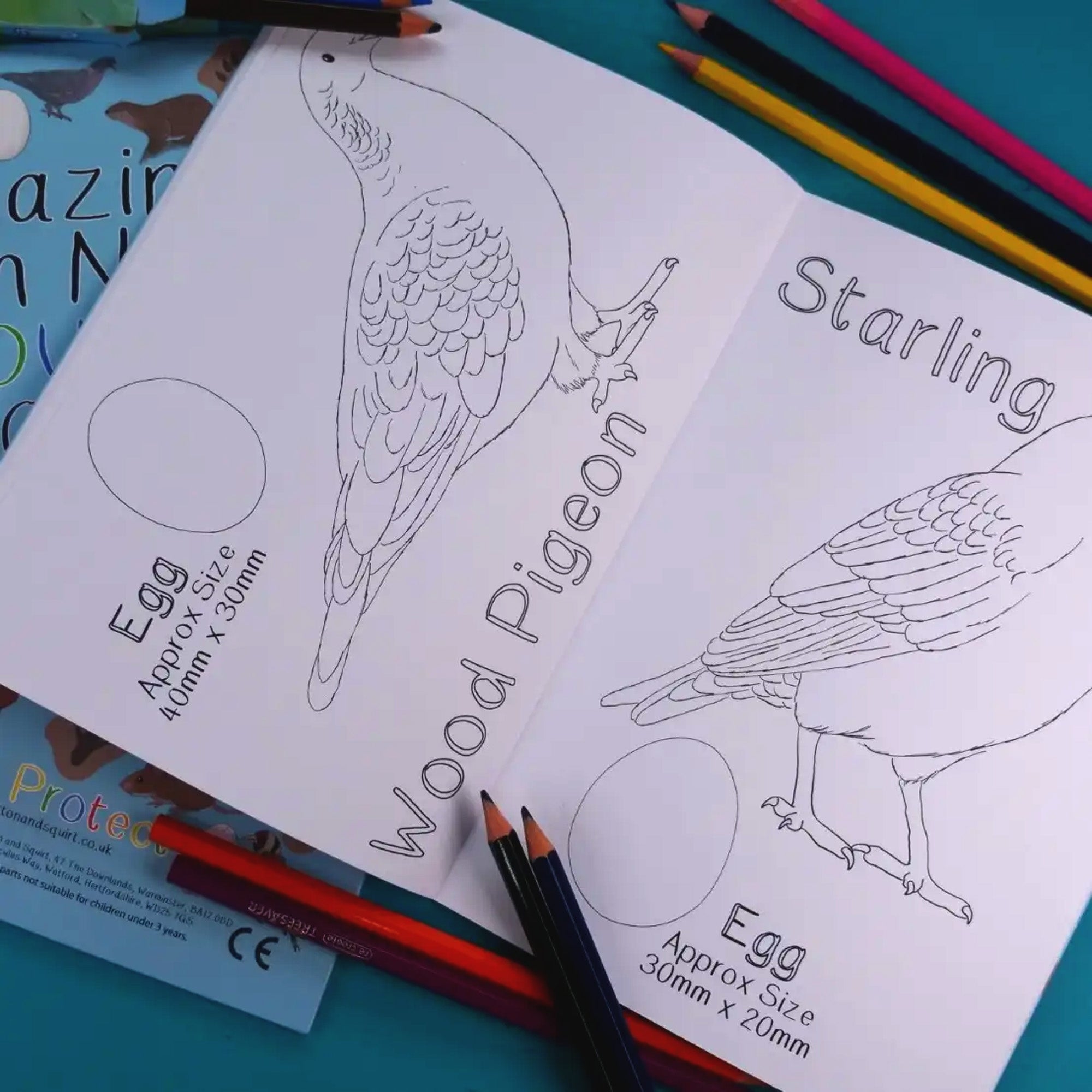Colouring Book-ABNCB - Amazing British Nature Colouring Book-Button & Squirt