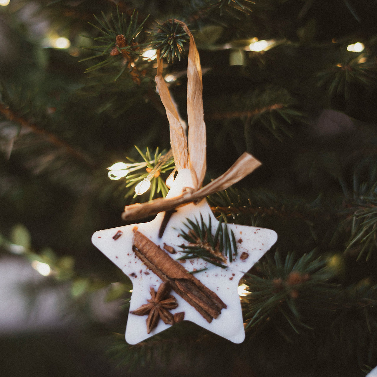 BOB08 - Cranberry Orange and Cinnamon Star Scented Christmas Tree Decoration
