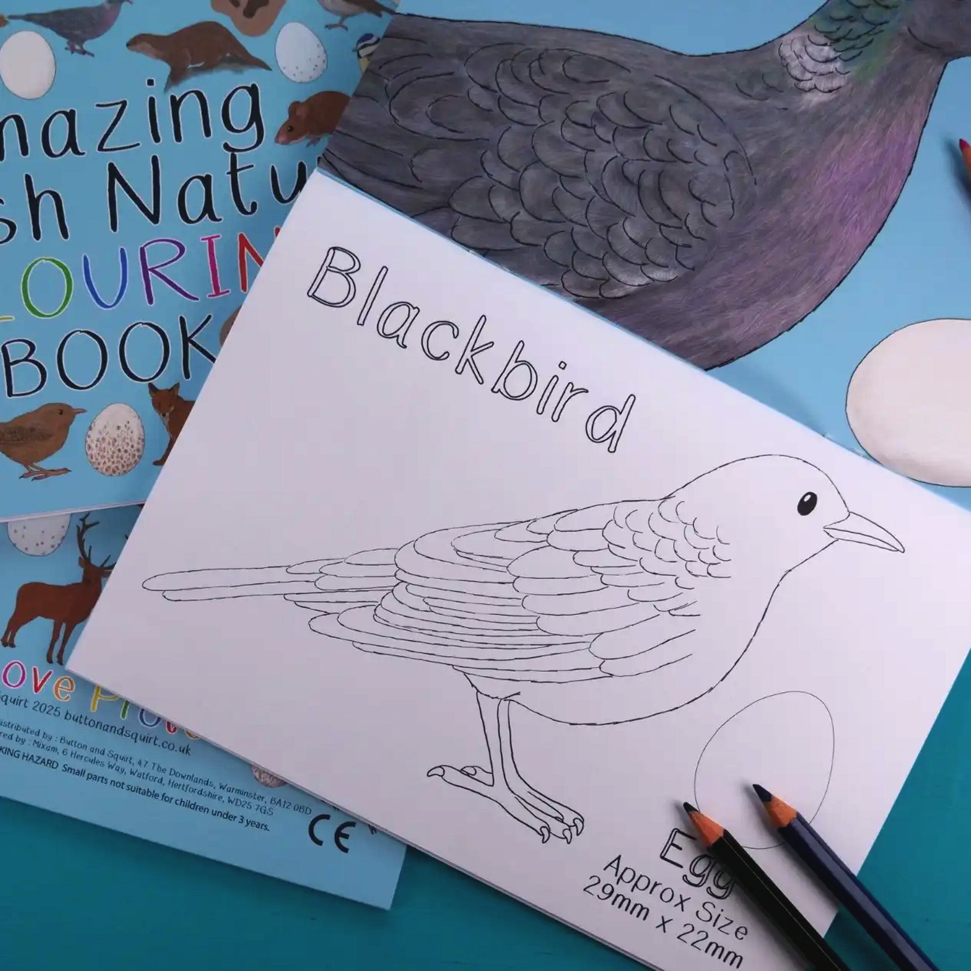 Colouring Book-ABNCB - Amazing British Nature Colouring Book-Button & Squirt