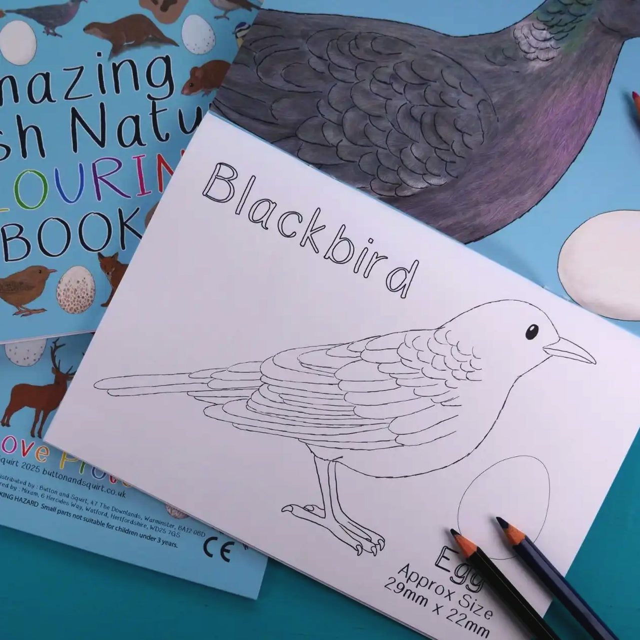 Colouring Book-ABNCB - Amazing British Nature Colouring Book-Button & Squirt