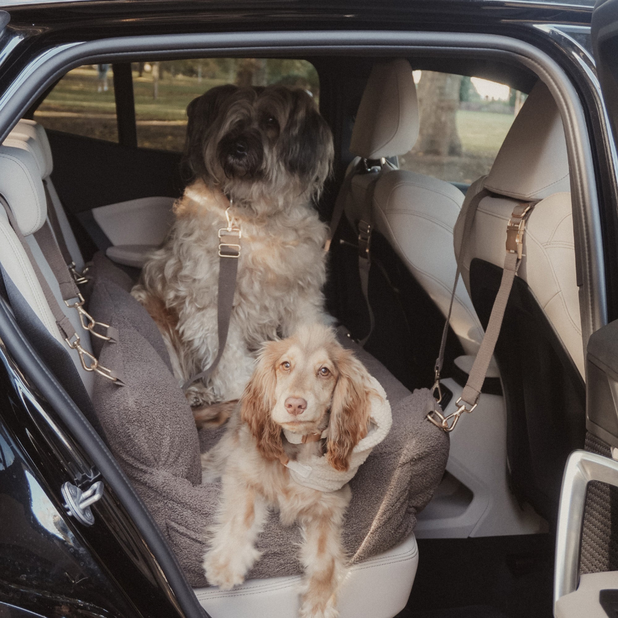 COSY-CAR-CHOC-XL - The XL Cosy Car Seat