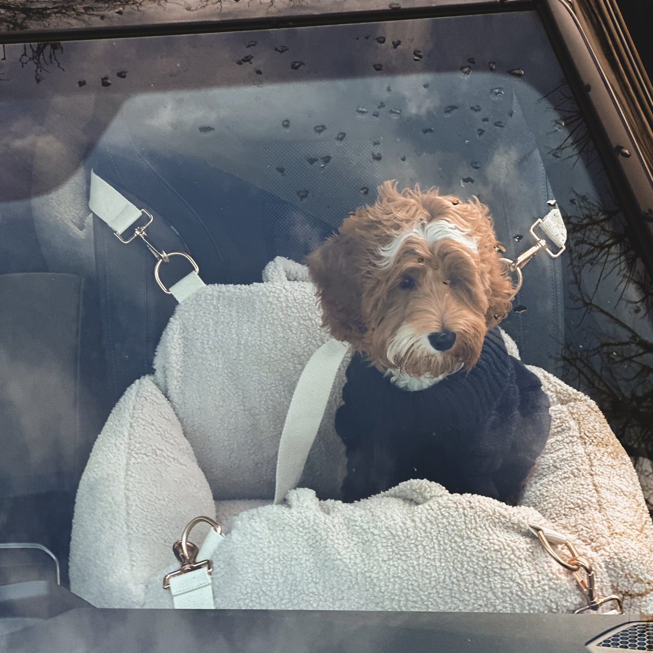 COSY-CAR-L - The Cosy Car Seat