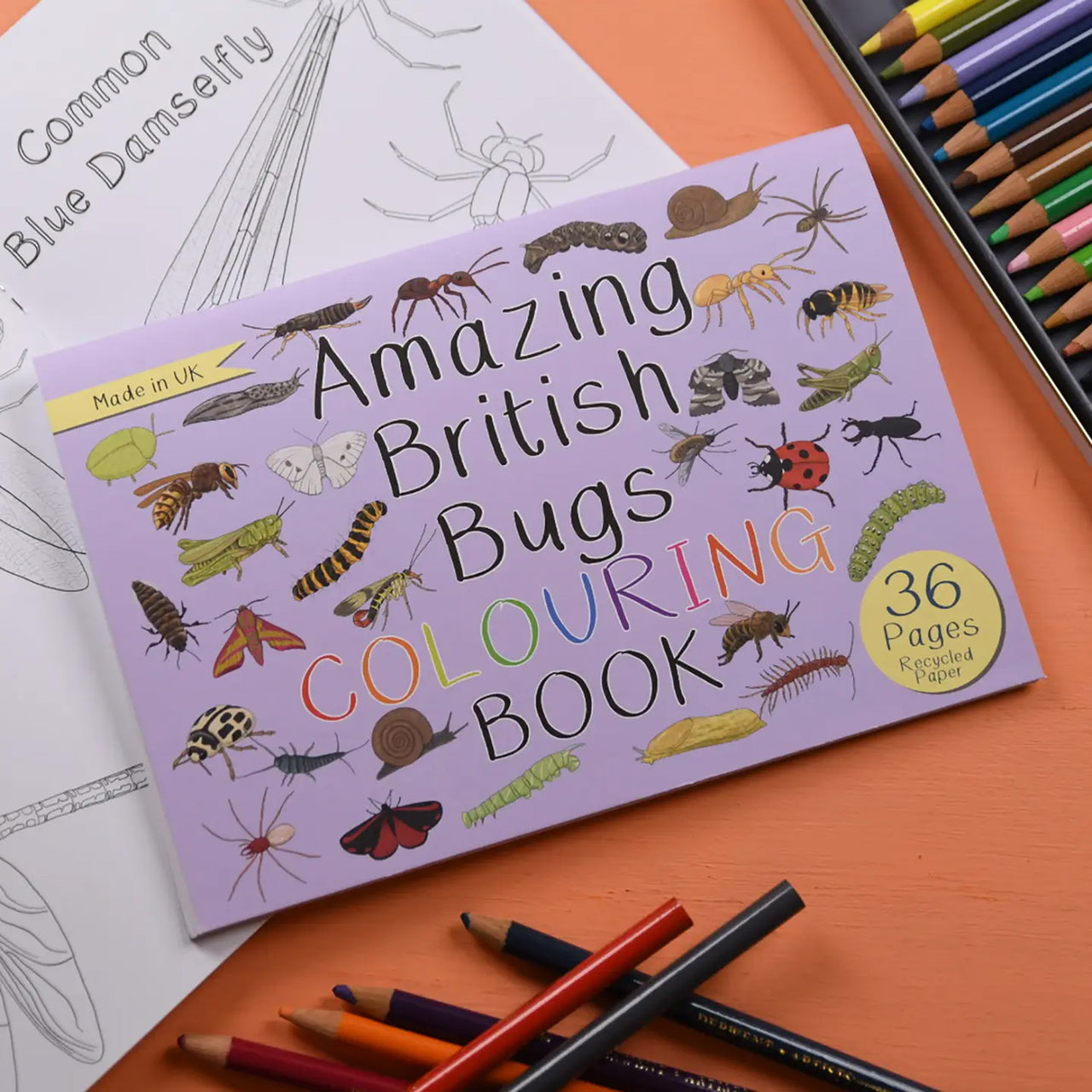 Colouring Book-ABBCB - Amazing British Bugs Colouring Book-Button & Squirt