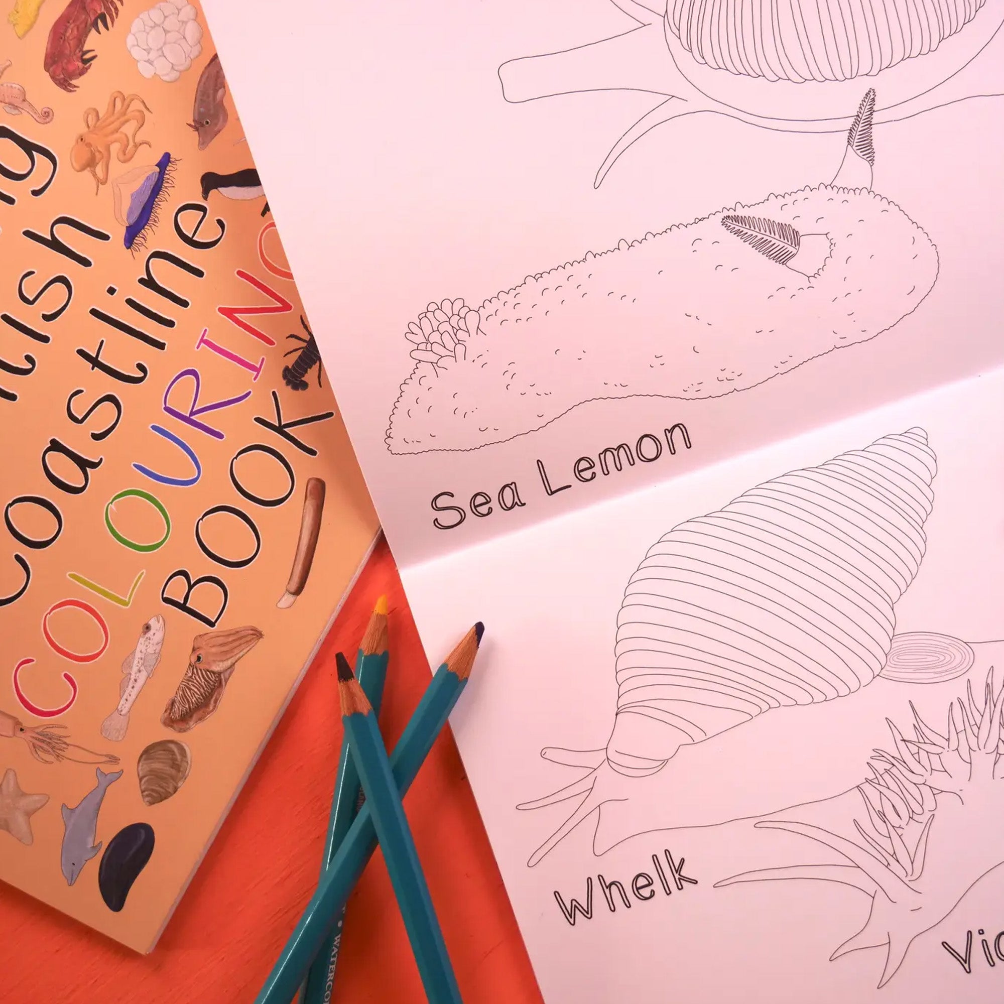 Colouring Book-Abccb - Amazing British Coastline Colouring Book-Button & Squirt