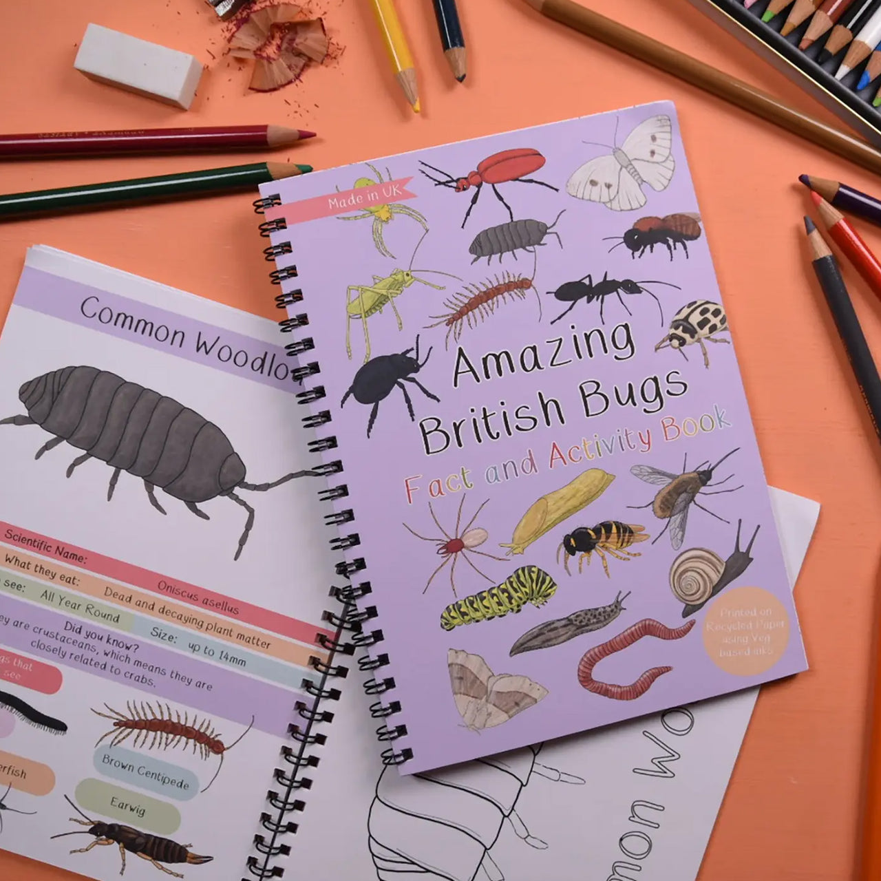Activity Book-ABBFA - Amazing British Bugs Fact & Activity Book-Button & Squirt