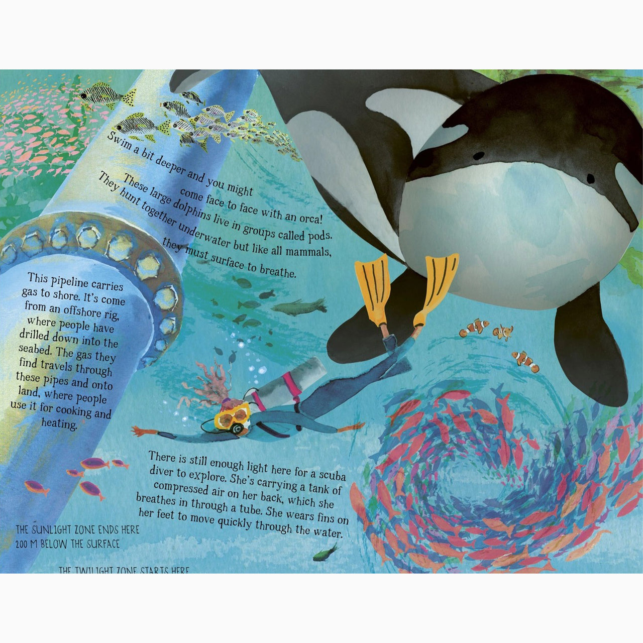 Book-9780711271944 - The Sea Below My Toes-The Quarto Group