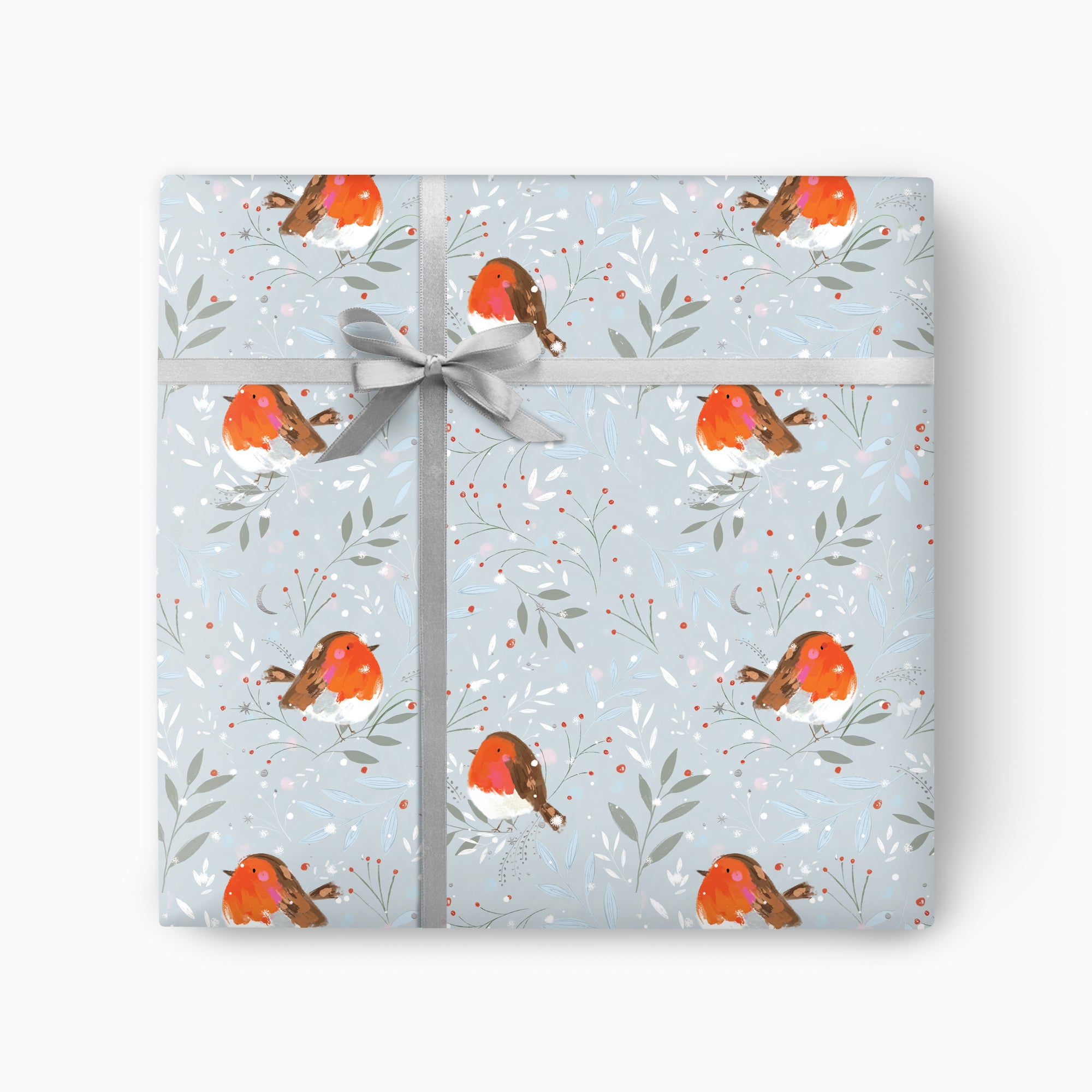 CWP080 - Reggie the Robin Christmas Wrapping Paper
