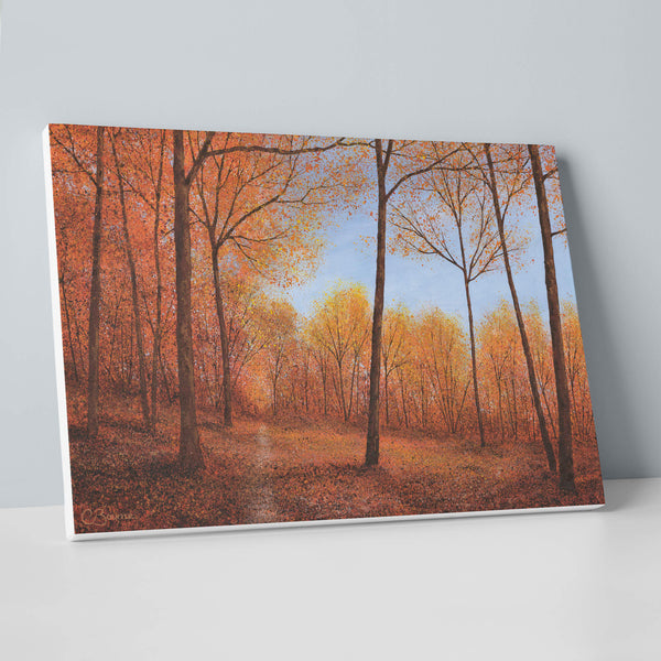 Canvas - CBOC6 - Autumn Splendour Canvas - Autumn Splendour Canvas by Chris Bourne - Whistlefish