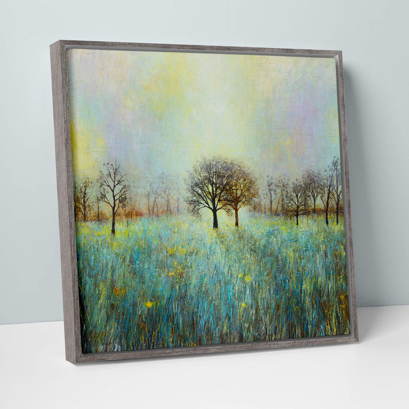 Canvas-JSC14F - Evening Shadow Framed Canvas-Whistlefish