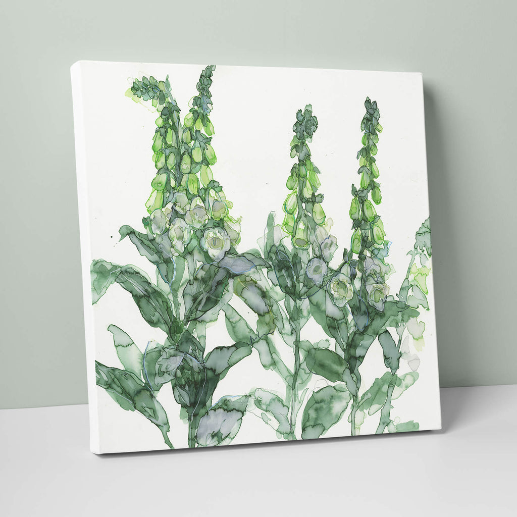 Canvas-JTC09 - White Foxgloves Canvas-Whistlefish