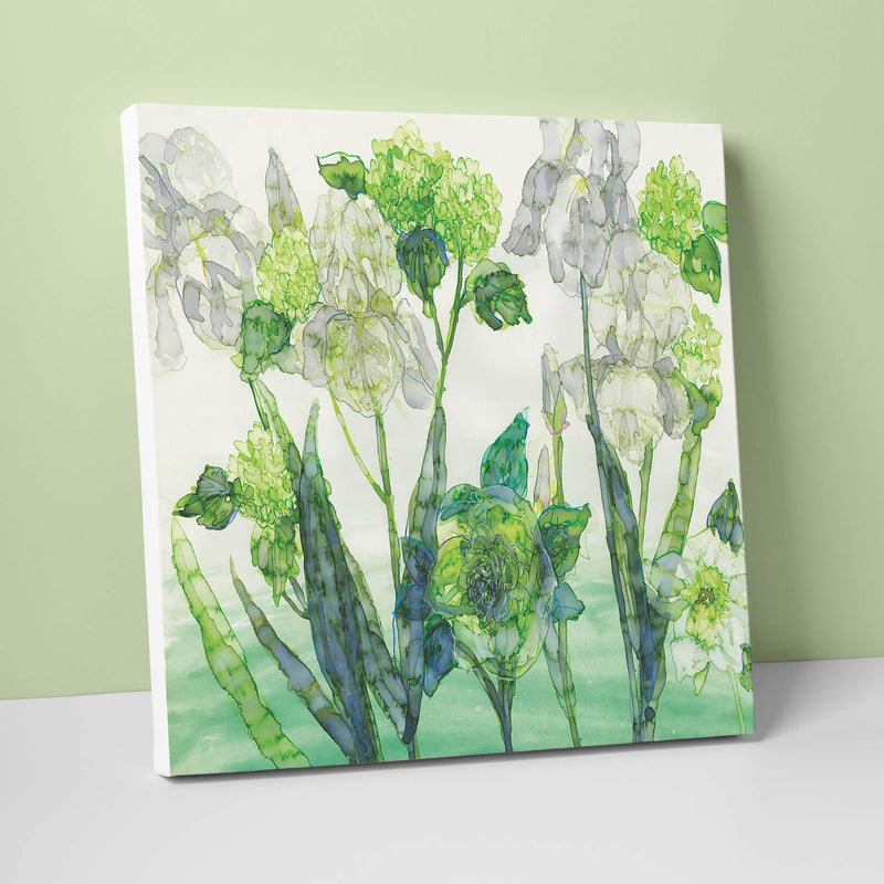 Canvas - JTC12 - White Iris Canvas - White Iris Canvas by Jess Trotman - Whistlefish