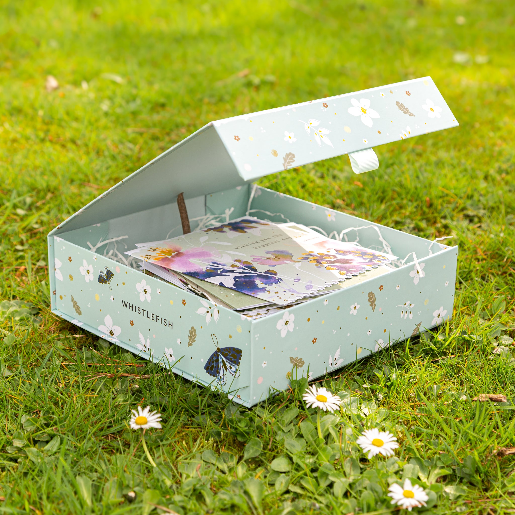 Card Gift Box-RF25MBXC - Celtic Rainforest Card Gift Box-Whistlefish