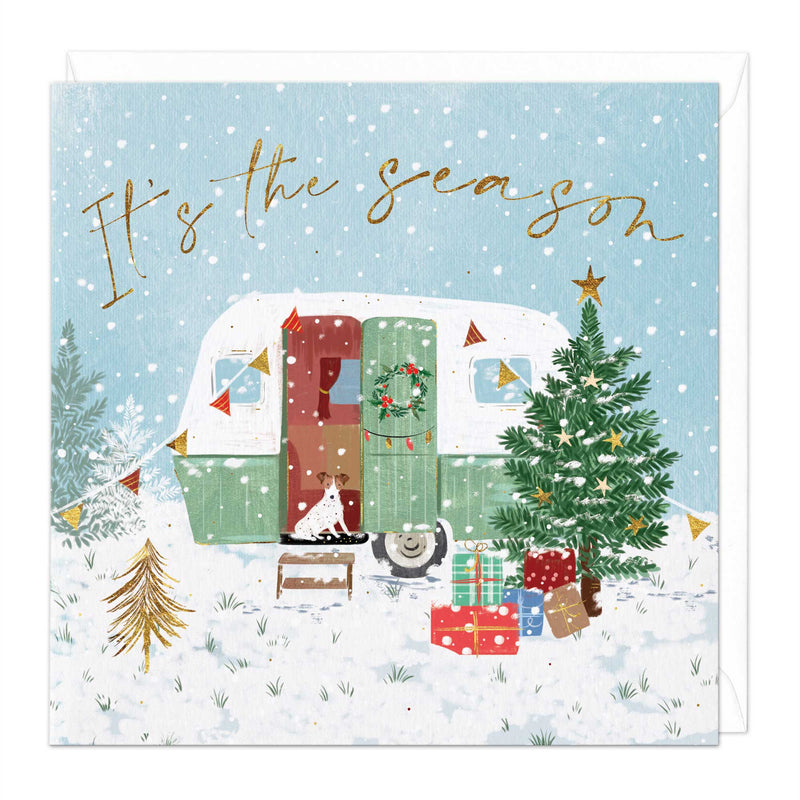 Christmas Card Pack-XMBO05 - Adventurous Dog Christmas Cards (36 Pack)-Whistlefish