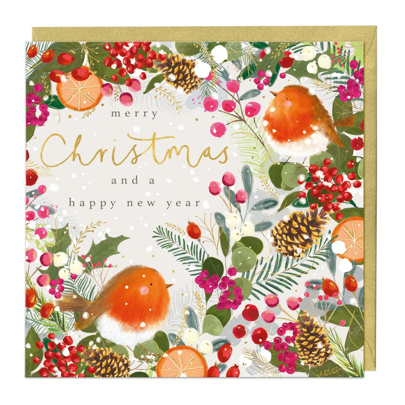 Christmas Card Pack - ZXCB05 - Robins Christmas Cards (36 Pack) - Christmas Robins Card (36 Pack) - Whistlefish