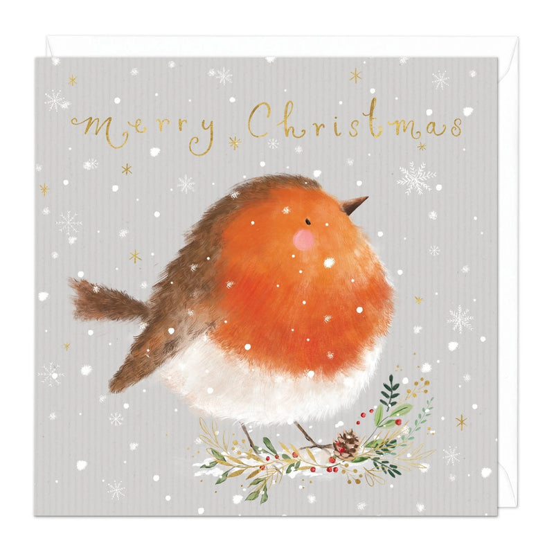 Christmas Card Pack - ZXCB05 - Robins Christmas Cards (36 Pack) - Christmas Robins Card (36 Pack) - Whistlefish