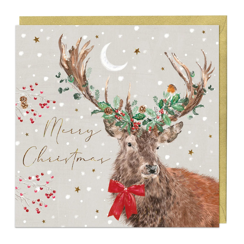 Christmas Card Pack - ZXCB08 - Festive Animals Christmas Card (36 Pack) - Festive Animals Christmas Card Pack - Whistlefish