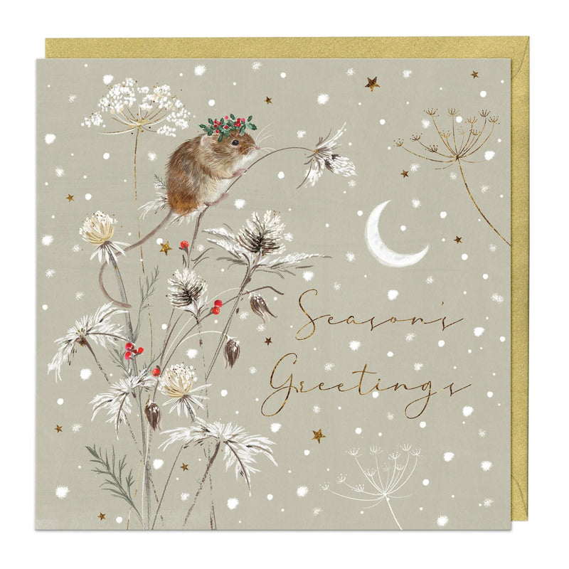 Christmas Card Pack - ZXCB08 - Festive Animals Christmas Card (36 Pack) - Festive Animals Christmas Card Pack - Whistlefish