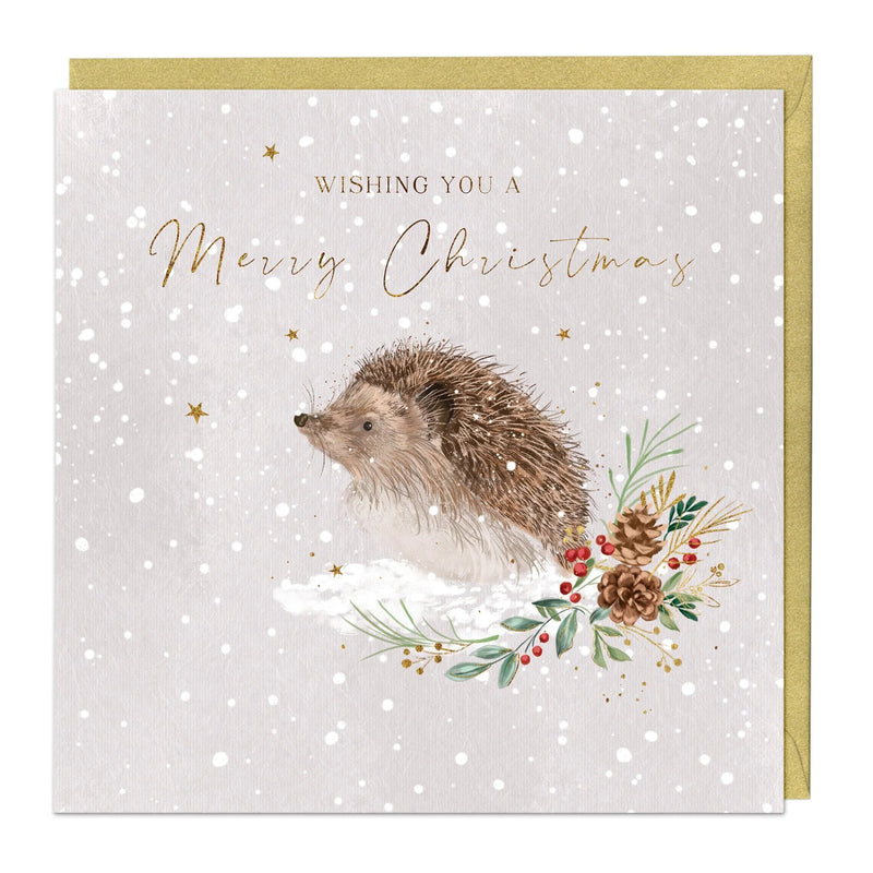 Christmas Card Pack - ZXCB08 - Festive Animals Christmas Card (36 Pack) - Festive Animals Christmas Card Pack - Whistlefish