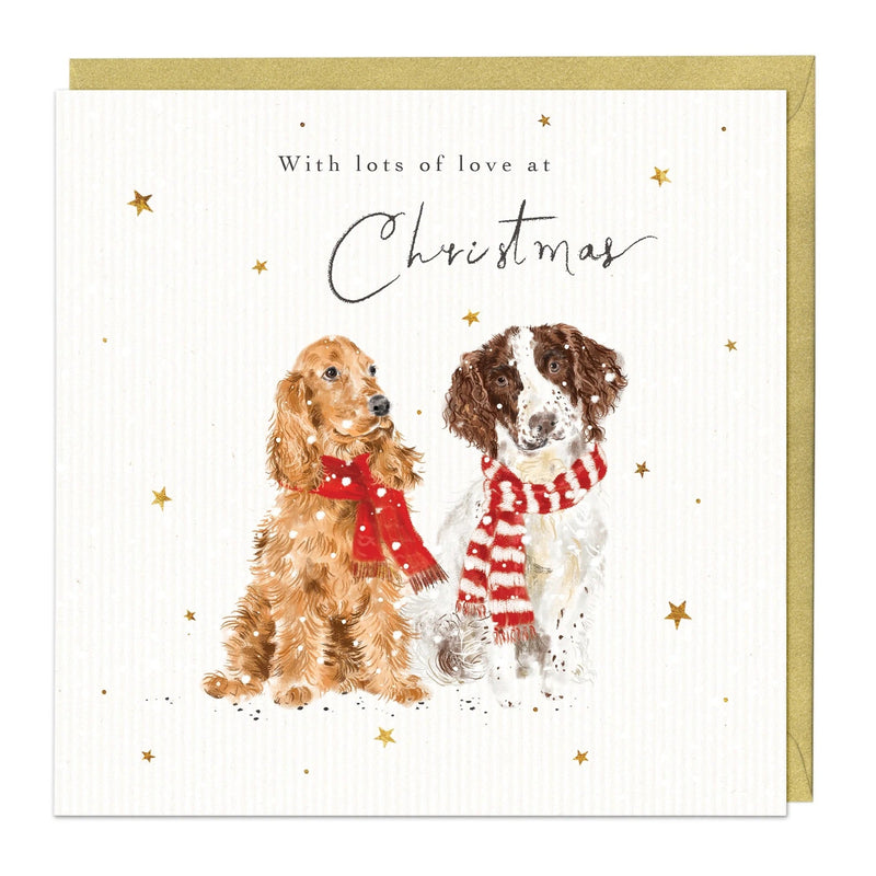 Christmas Card Pack - ZXCB15 - Furry Friends Christmas Cards (36 Pack) - Furry Friends Christmas Card (36 Pack) - Whistlefish