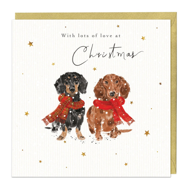 Christmas Card Pack - ZXCB15 - Furry Friends Christmas Cards (36 Pack) - Furry Friends Christmas Card (36 Pack) - Whistlefish