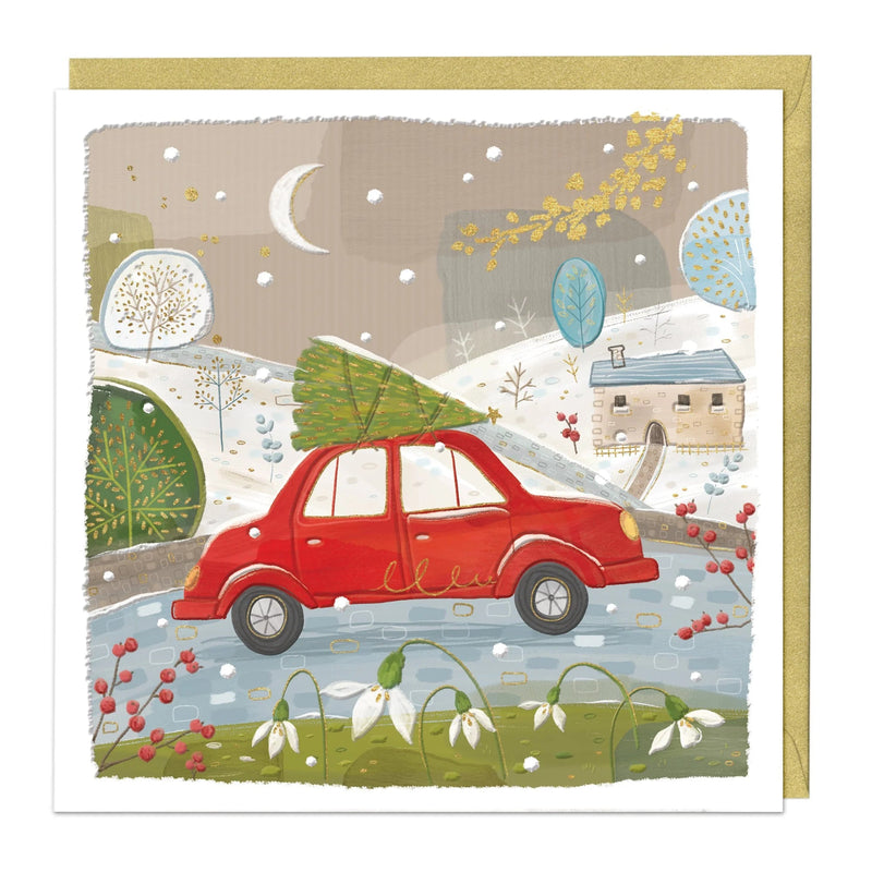 Christmas Card Pack - ZXCB16 - Fairy Tale Christmas Card (36 Pack) - Festive Fairytale Christmas Card Pack - Whistlefish