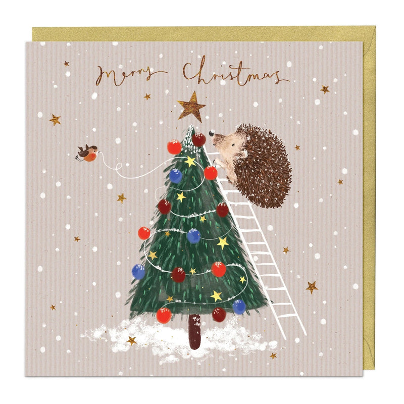 Christmas Card Pack - ZXCB19 - Festive Friends Christmas Cards (36 Pack) - Festive Friends Christmas Cards (36 Pack) - Whistlefish