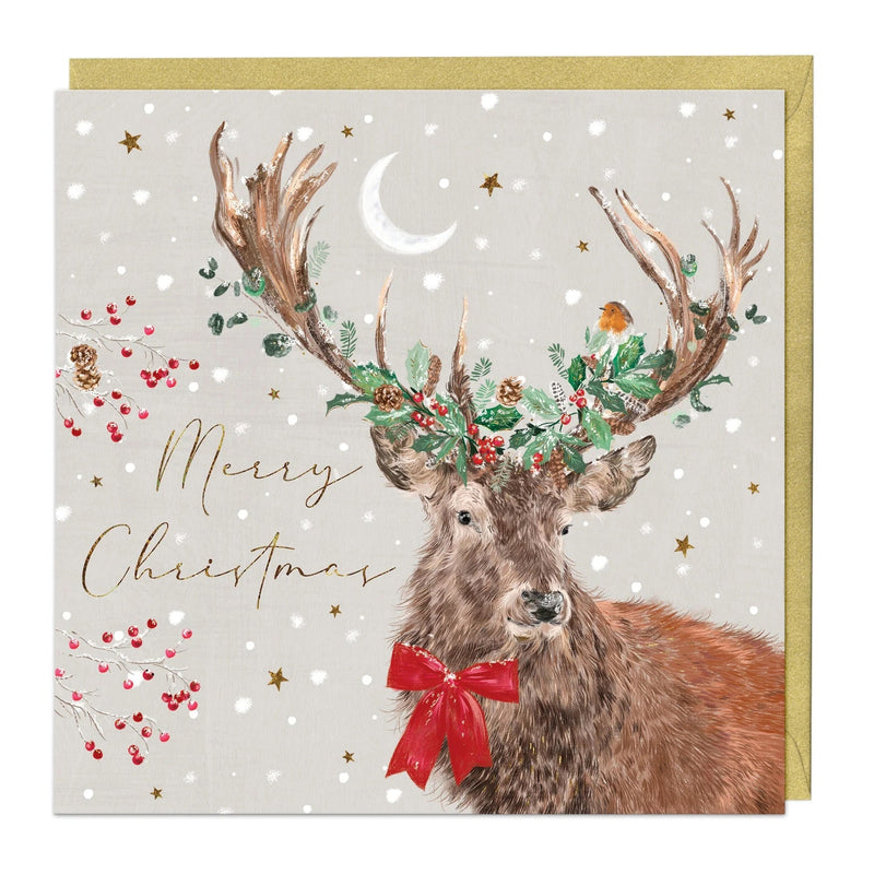 Christmas Card Pack - ZXCB20 - Playful Animals Christmas Cards (36 Pack) - Playful Animals Christmas Cards (36 Pack) - Whistlefish