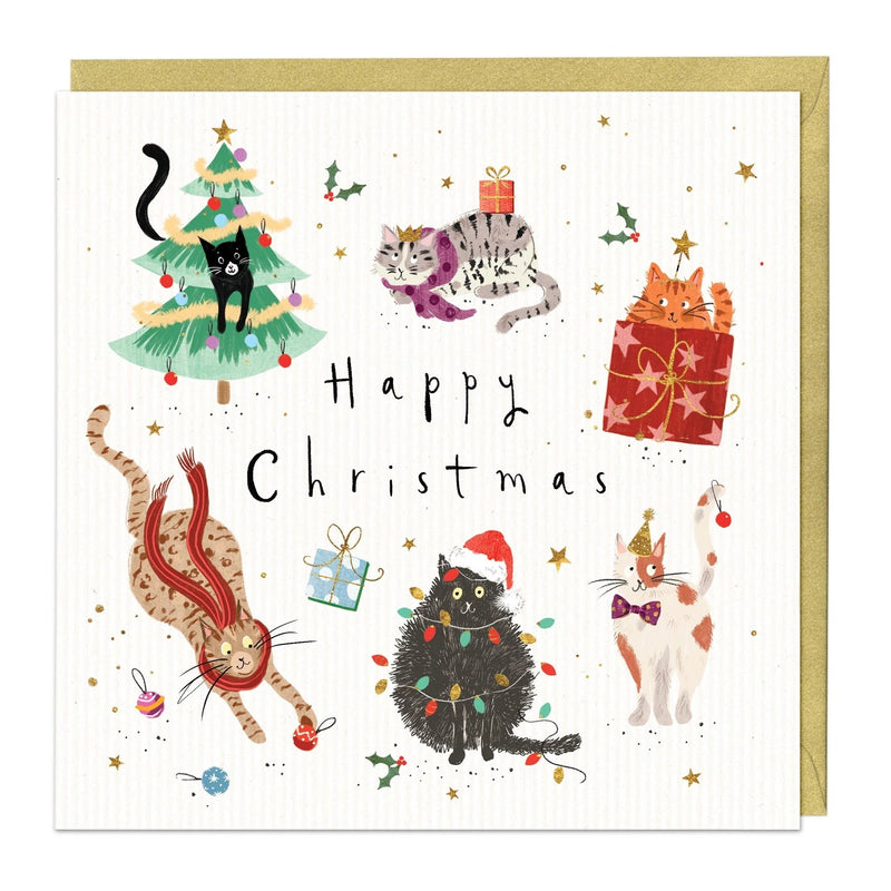 Christmas Card Pack - ZXCB20 - Playful Animals Christmas Cards (36 Pack) - Playful Animals Christmas Cards (36 Pack) - Whistlefish