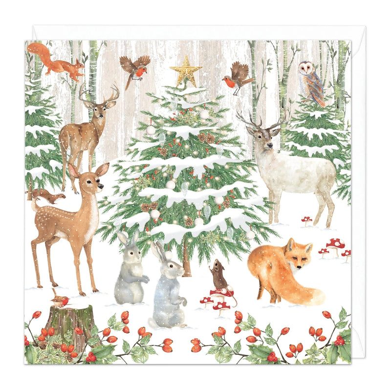 Christmas Card Pack - ZXCB20 - Playful Animals Christmas Cards (36 Pack) - Playful Animals Christmas Cards (36 Pack) - Whistlefish