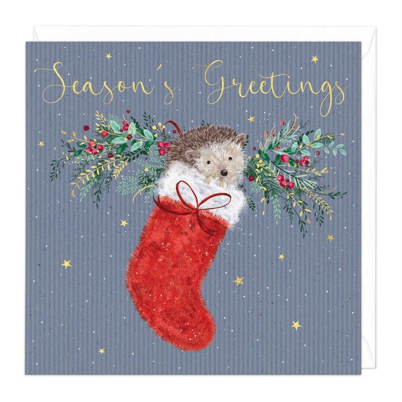 Christmas Card - X3119 - Blue Hedgehog Stocking Christmas Card - Blue Hedgehog Stocking Christmas Card - Whistlefish