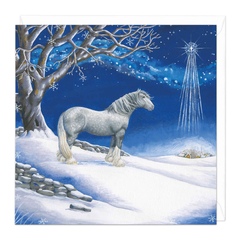 Christmas Card - X3216 - Horse Looking At Stars Christmas Card - Horse Looking At Stars Christmas Card - Whistlefish