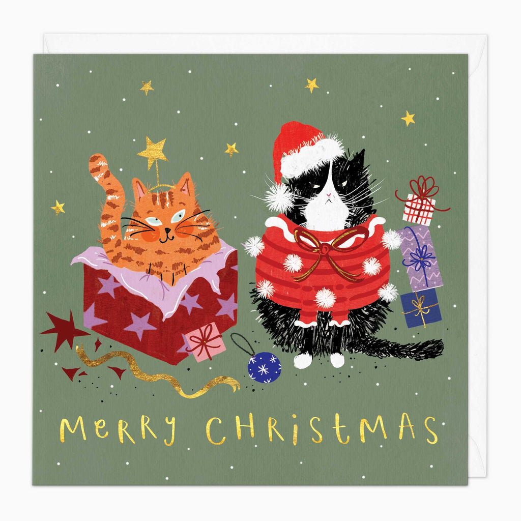 Christmas Card-XA176 - Cat In A Box Christmas Card-Whistlefish