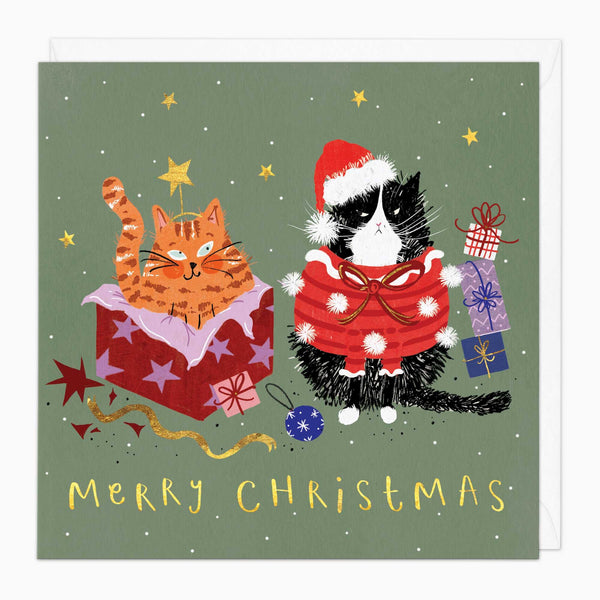 Christmas Card-XA176 - Cat In A Box Christmas Card-Whistlefish