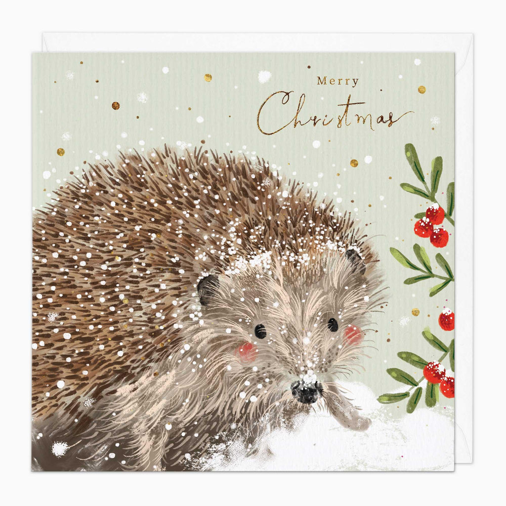Christmas Card-XA213 - Snowy Hedehog Christmas Card-Whistlefish