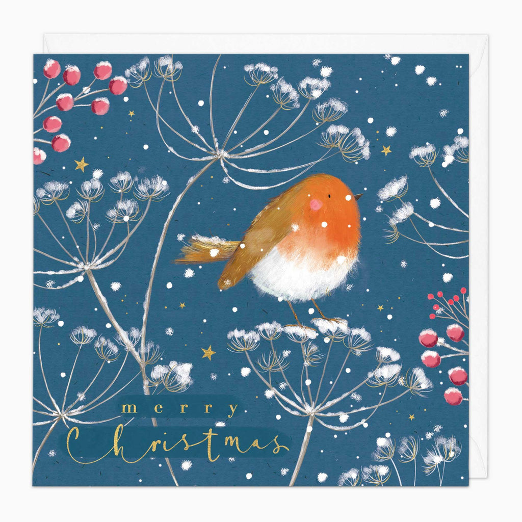 Christmas Card-XA228 - Robin & Cow Parsley Christmas Card-Whistlefish