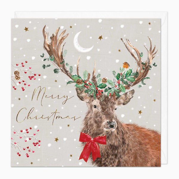 Christmas Card-XA236 - Robin In The Antlers Christmas Card-Whistlefish
