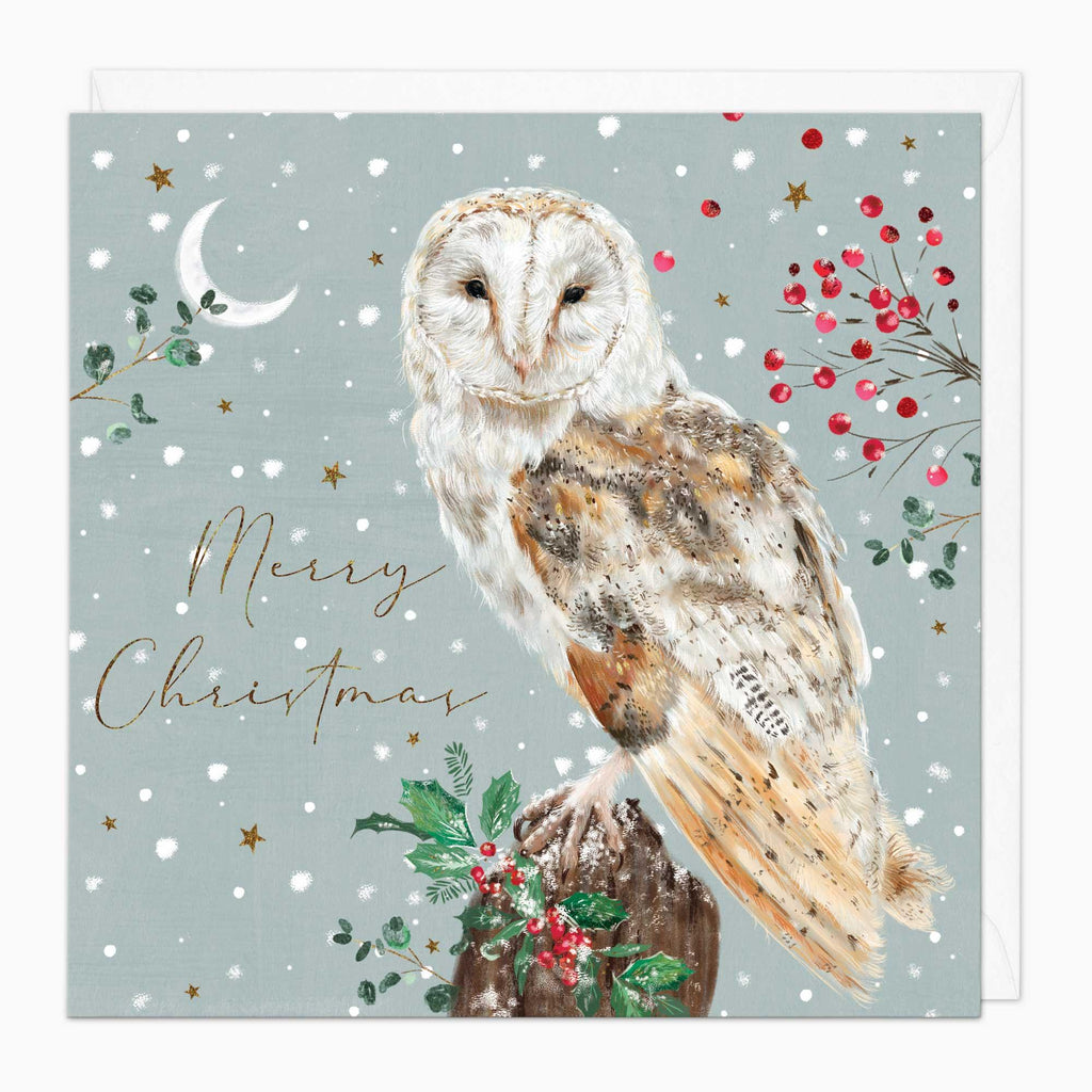 Christmas Card-XA242 - Owl & Berries Christmas Card-Whistlefish