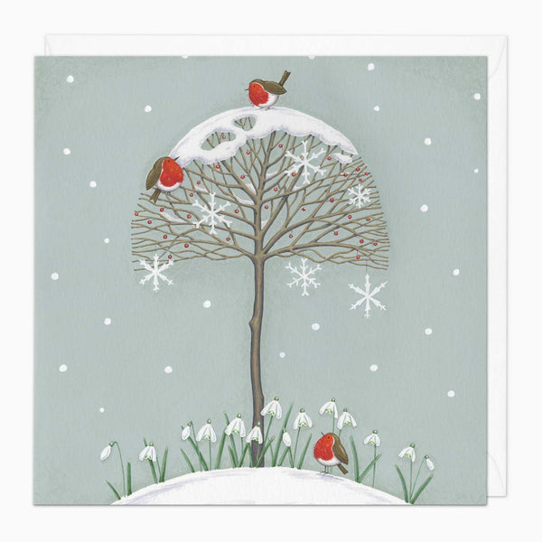 Christmas Card-XA247 - Robins On A Tree Christmas Card-Whistlefish