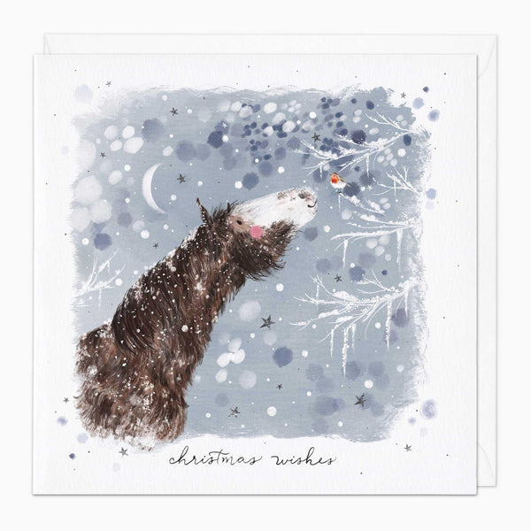 Christmas Card-XA261 - Horse & Robin Christmas Card-Whistlefish